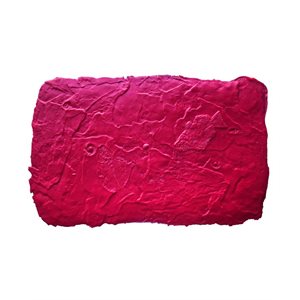 FOSSIL STAMP - SEA FLOOR