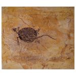 FOSSIL STAMP - TURTLE